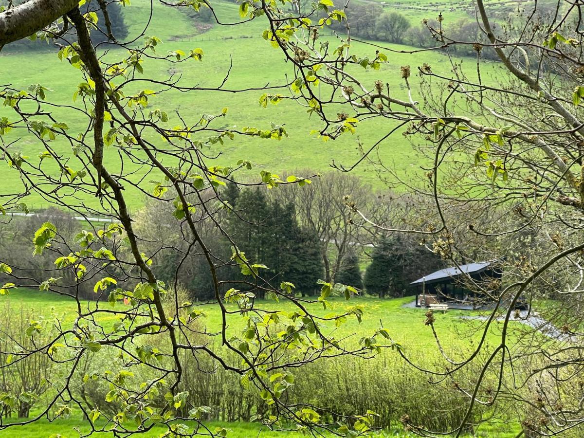 Quirky, Luxury Hideaway Villa Llanbrynmair Exterior photo